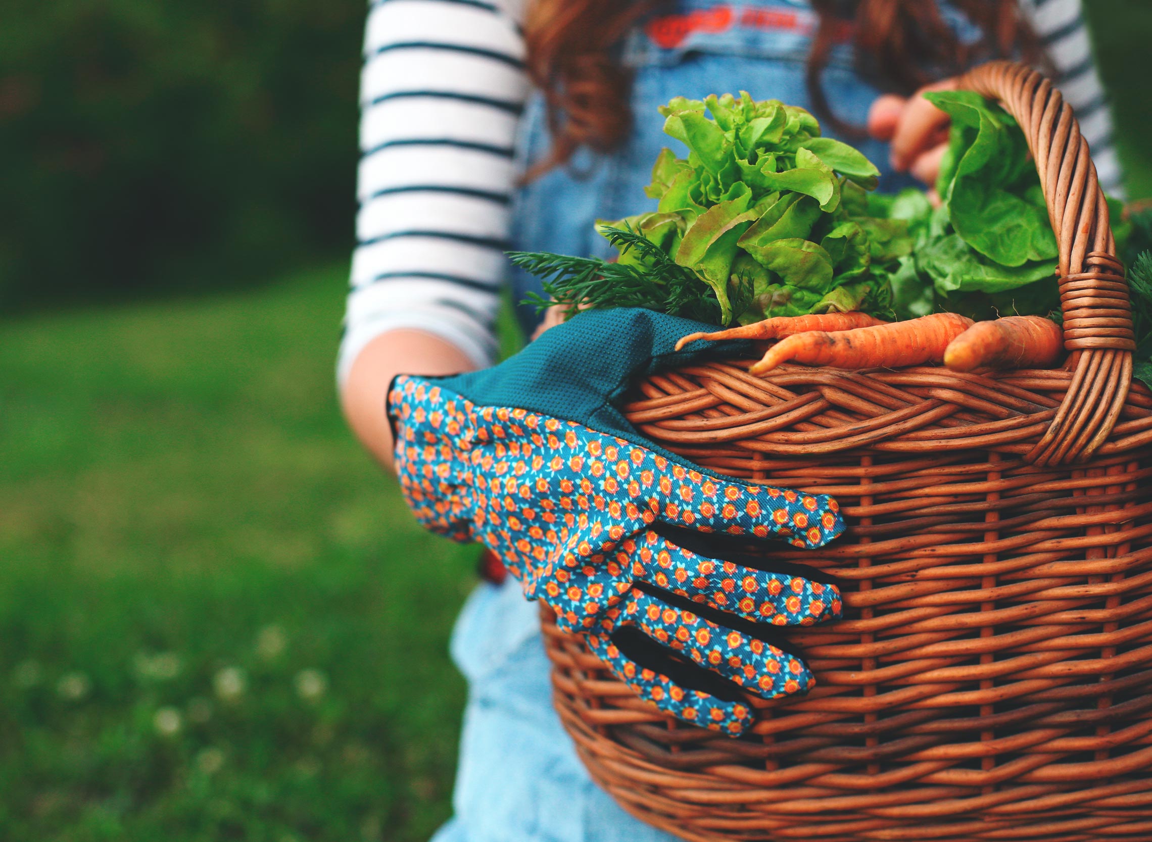 Garden maintenance by SSAW Tree Services